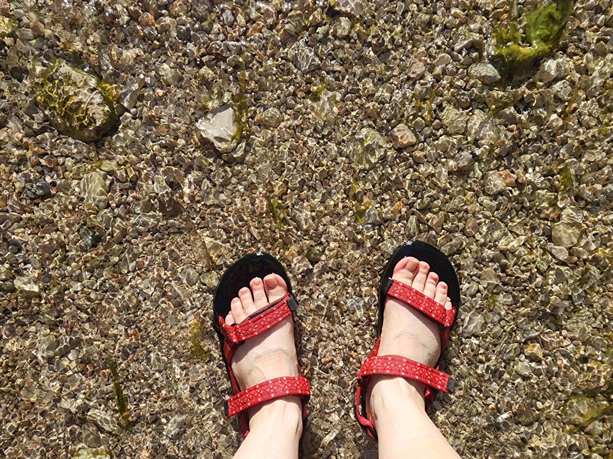 My feet walking in the water at Ein Bokek