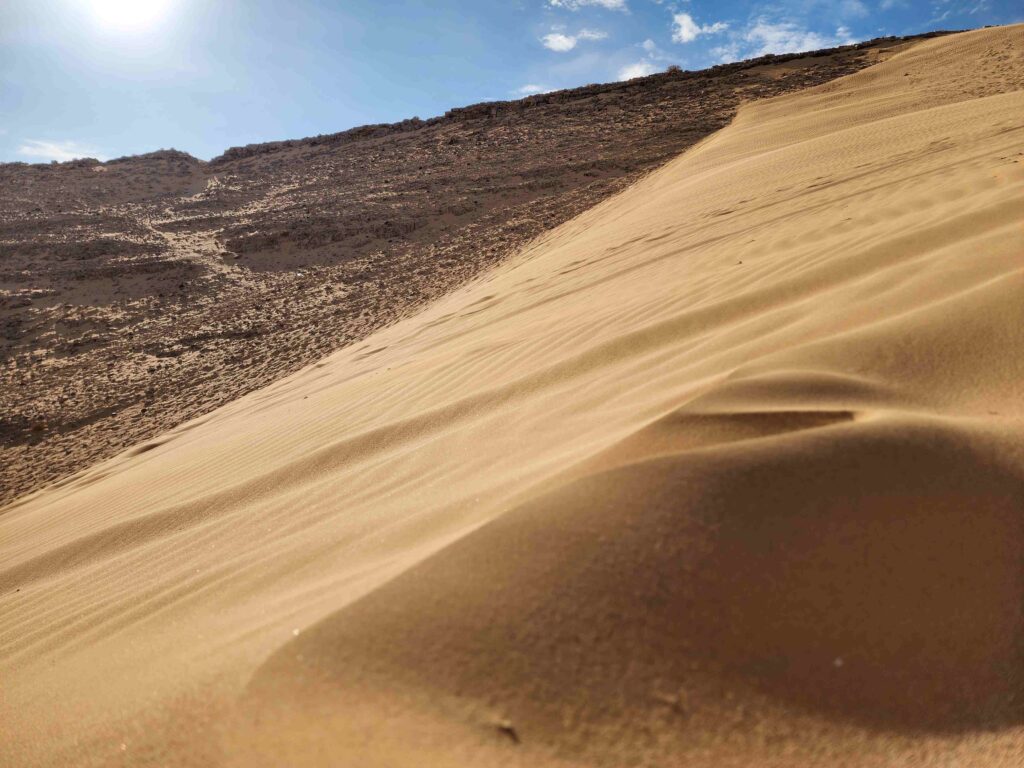 הדיונות בחולות כסוי