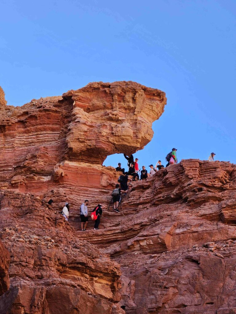 hikers climbing a metal ladder in red sandstone walls of the Red Canyon near Eilat.