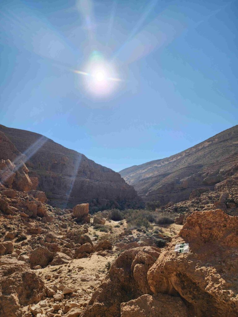 NAhal Mamshit