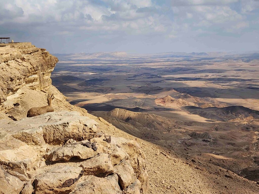Har Gamal viewpoint